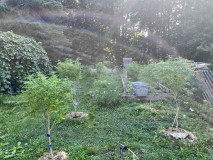 IMG_5004[1]