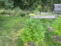 IMG_5007[1]