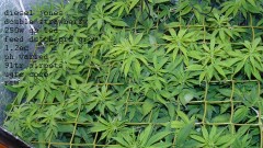 drobes 24 08 22 001