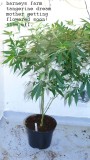 drobes 24 08 22 008