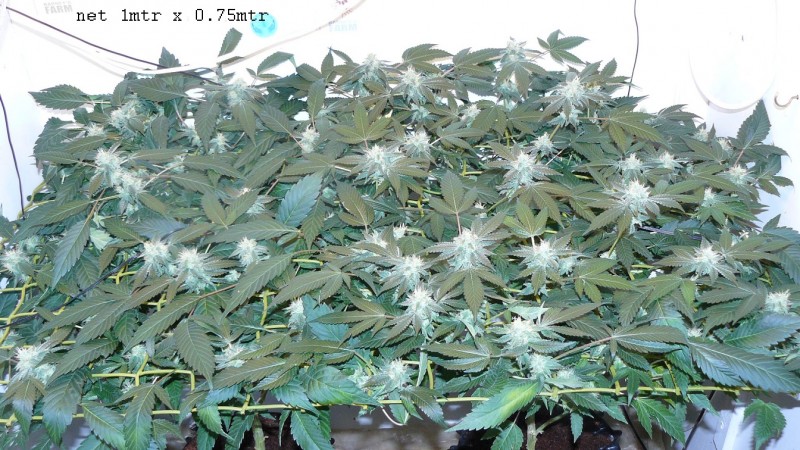drobes 24 08 22 017