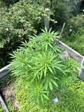 IMG_5034[1]