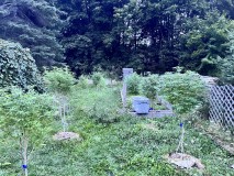 IMG_5072[1]