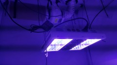 20220902_175858