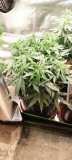 IMG_20220902_204931