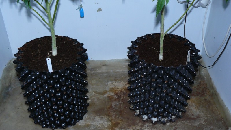drobes 03 09 22 010