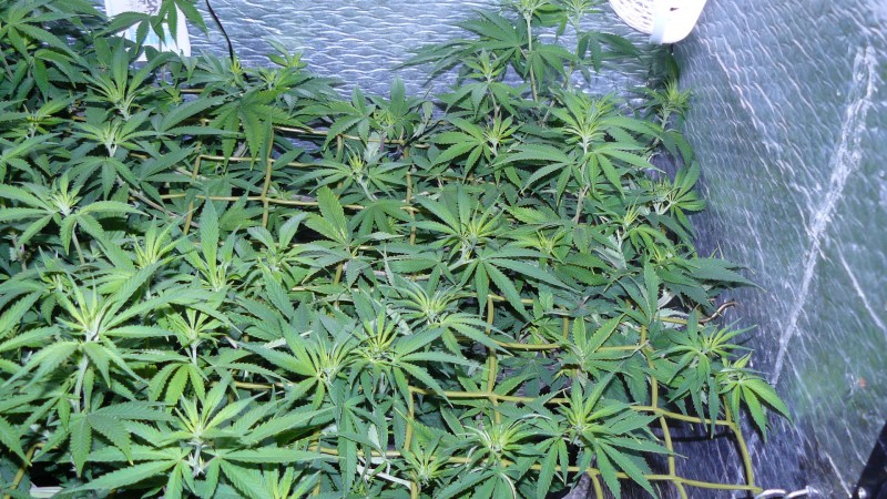 drobes 03 09 22 025