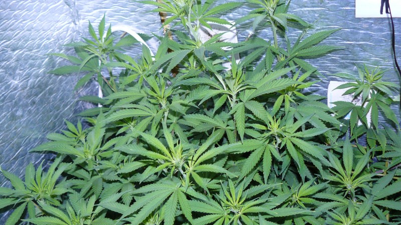 drobes 03 09 22 026