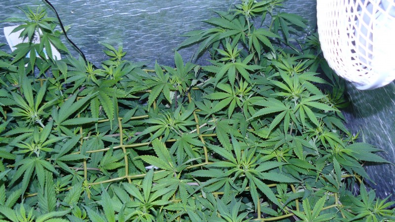 drobes 03 09 22 030
