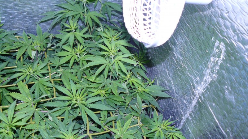 drobes 03 09 22 031