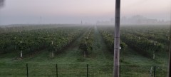 IMG_20220904_063852[1]