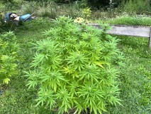 IMG_5096[1]