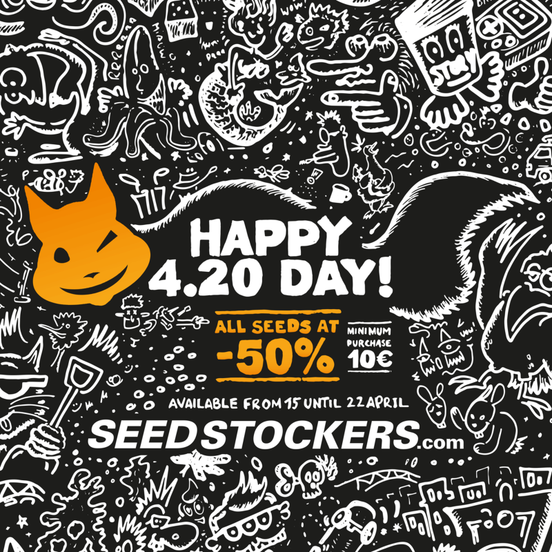 banner-instagram-1080x1080-Seedstockers-420-Promotion