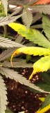 IMG_20220916_203941