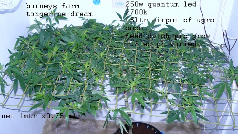 drobes 17 09 22 001