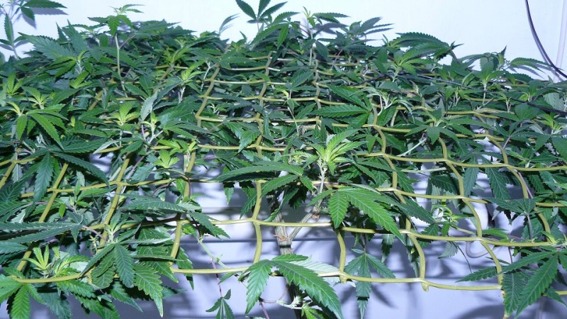 drobes 17 09 22 003