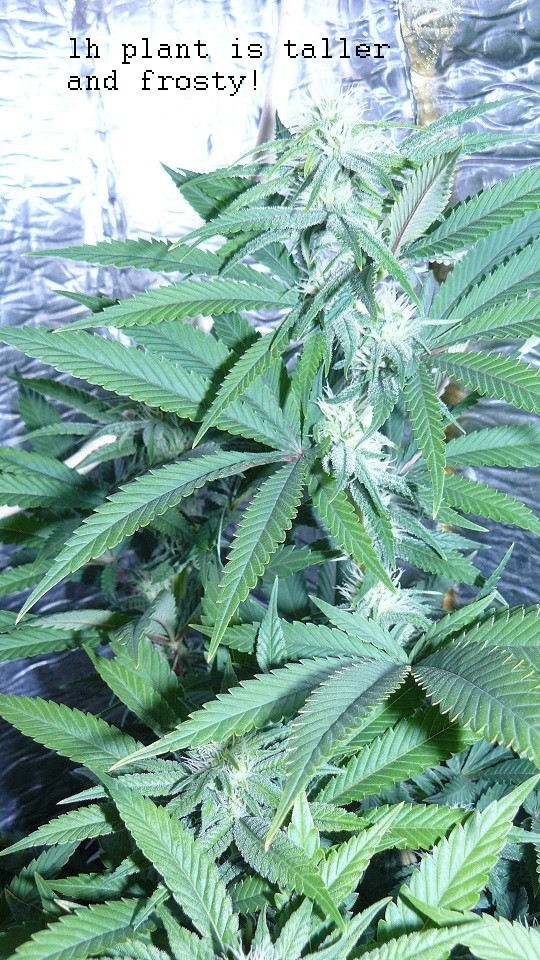 drobes 17 09 22 011