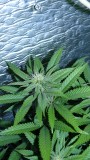 drobes 17 09 22 013