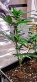 IMG_20220916_203842