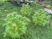 IMG_5207[1]
