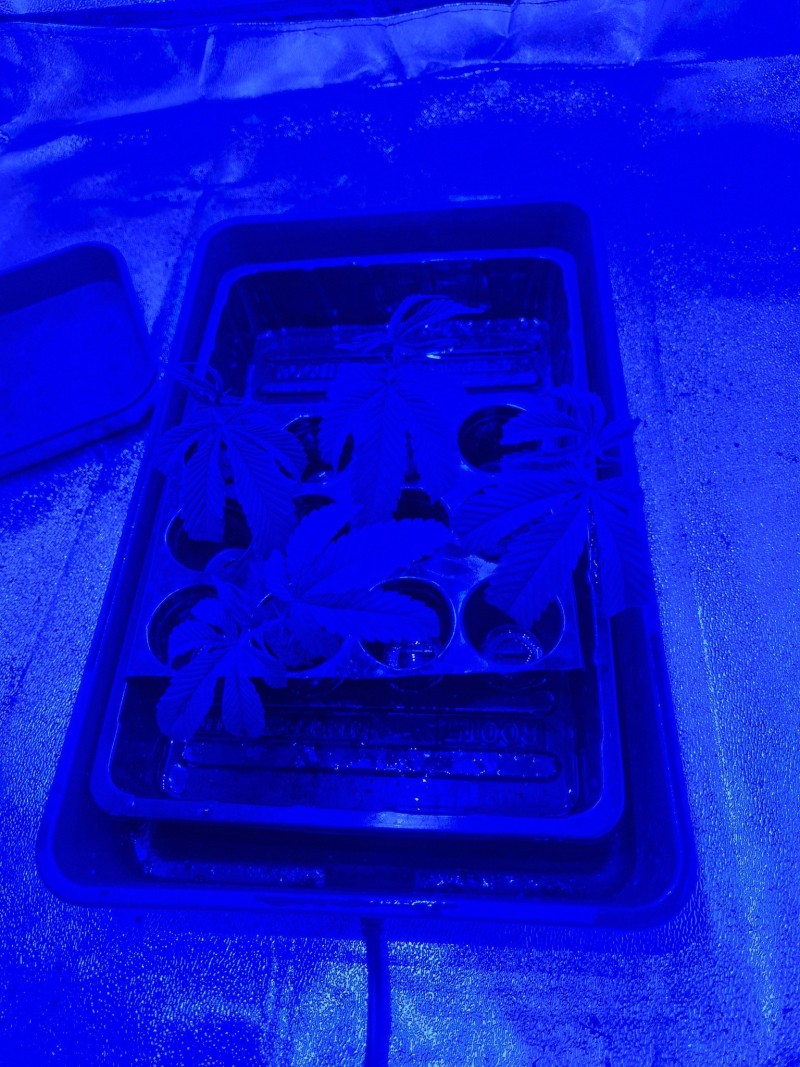 20220918_193058