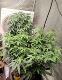 IMG_20220923_202338_2
