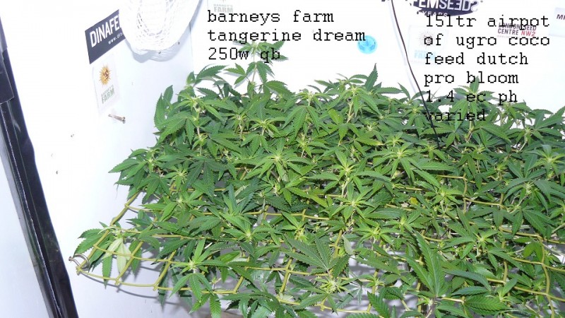 drobes 29 09 22 001