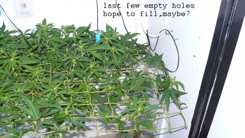 drobes 29 09 22 003