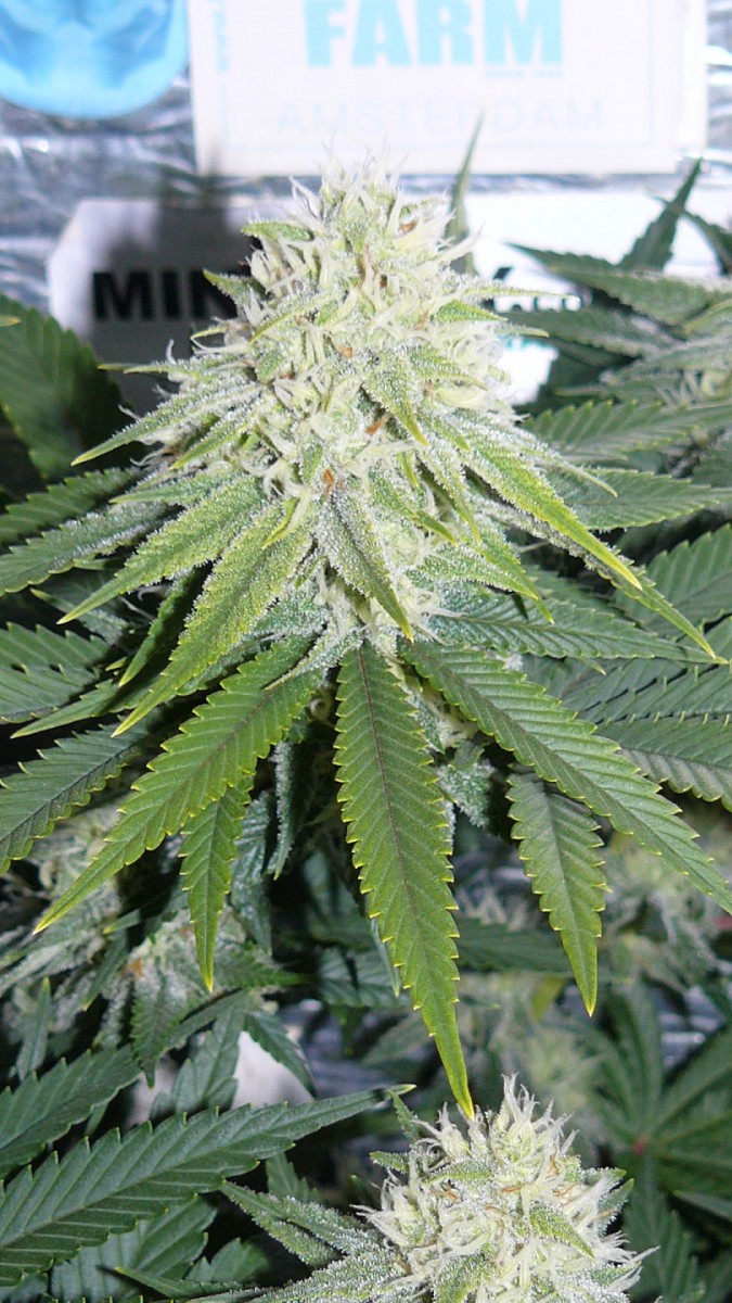 drobes 29 09 22 028