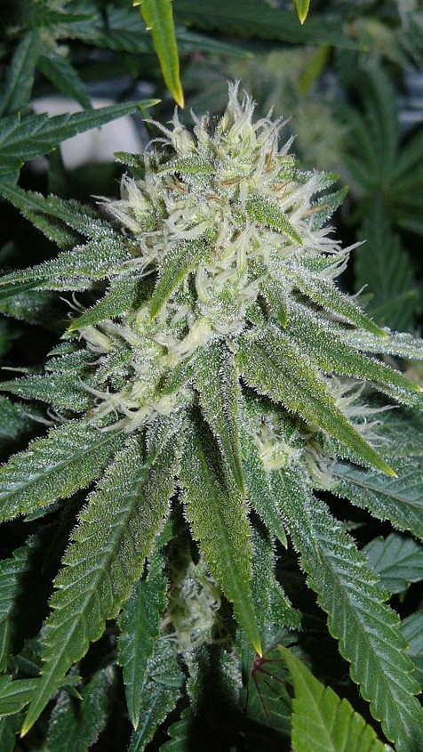 drobes 29 09 22 030