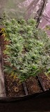 IMG_20220930_204246
