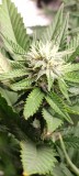 IMG_20220930_204314