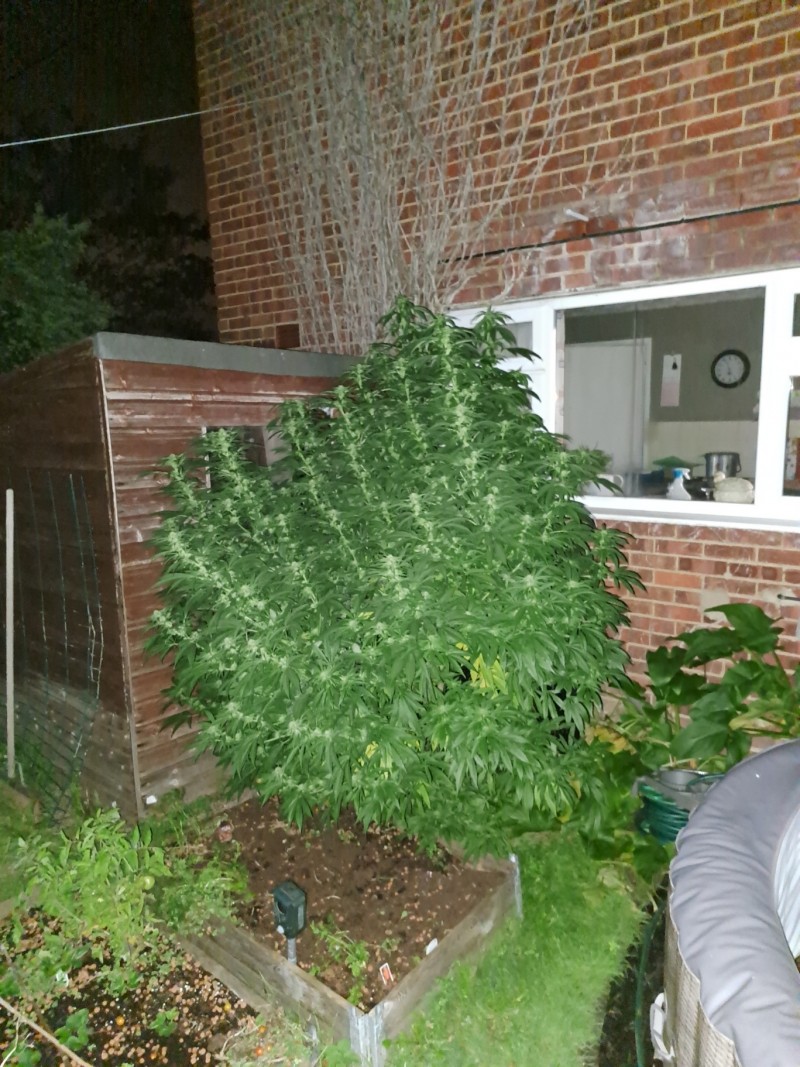 outside