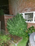 outside
