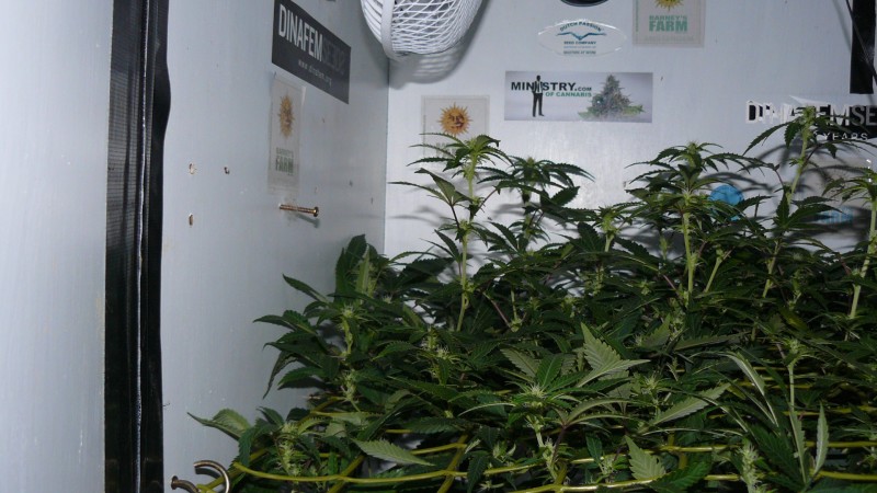 drobes 03 10 22 002