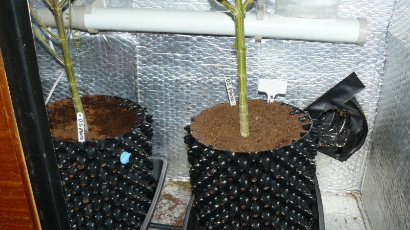 drobes 03 10 22 036