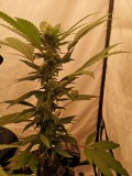 IMG_20221005_193832