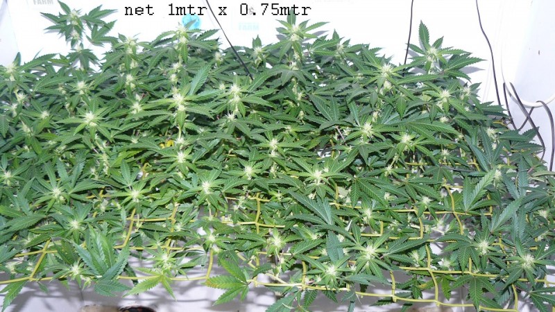 drobes 07 10 22 002