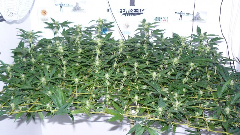 drobes 07 10 22 004