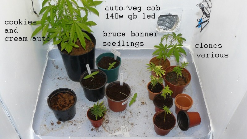 drobes 07 10 22 014