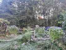 IMG_5379[1]