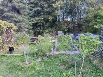 IMG_5395[1]