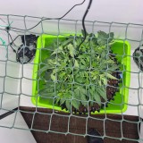 IMG-20221011-WA0001