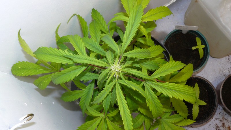 drobes 11 10 22 014