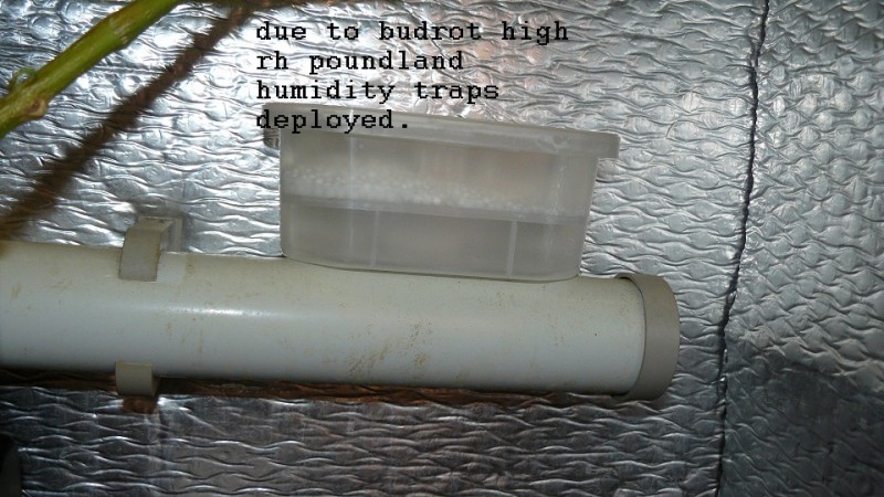 drobes 11 10 22 023