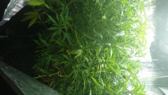 IMG-20190428-WA0002
