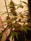 IMG_20221015_195135