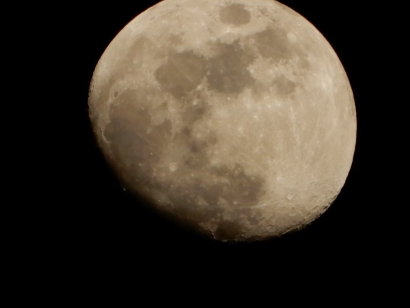 DSCN1336