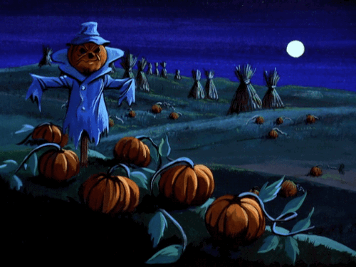 pumpkinpatch
