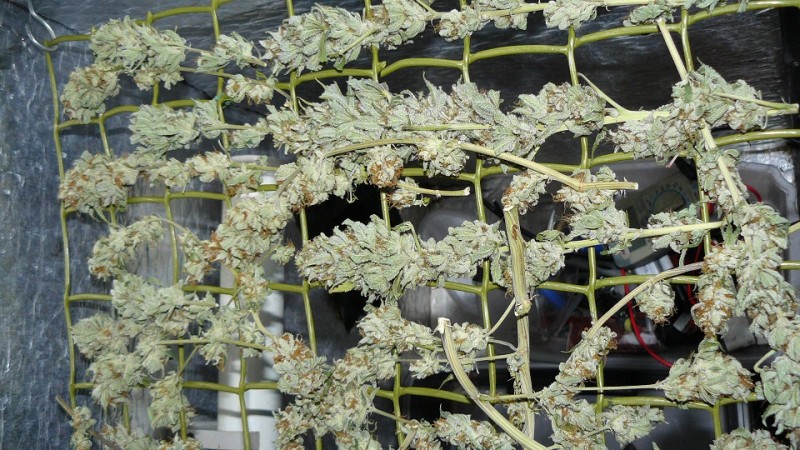 drobes 20 10 22 030